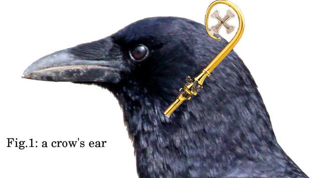 A crow's ear