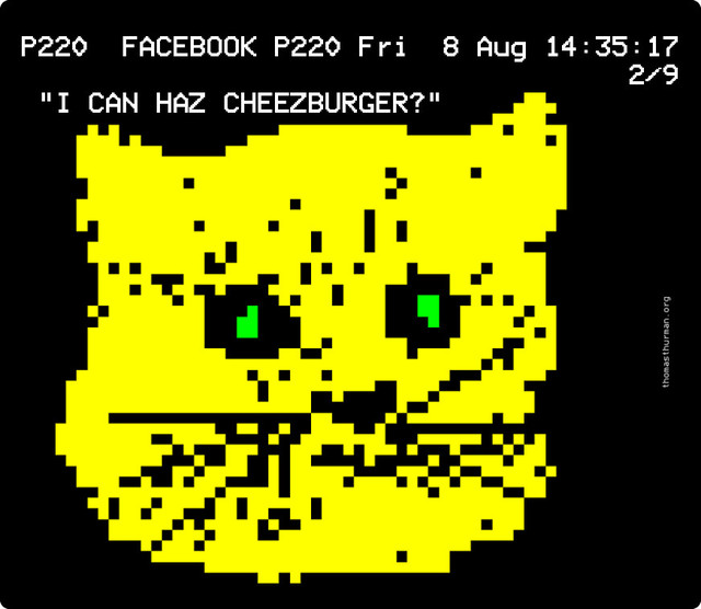 Facebook as teletext - page 220
